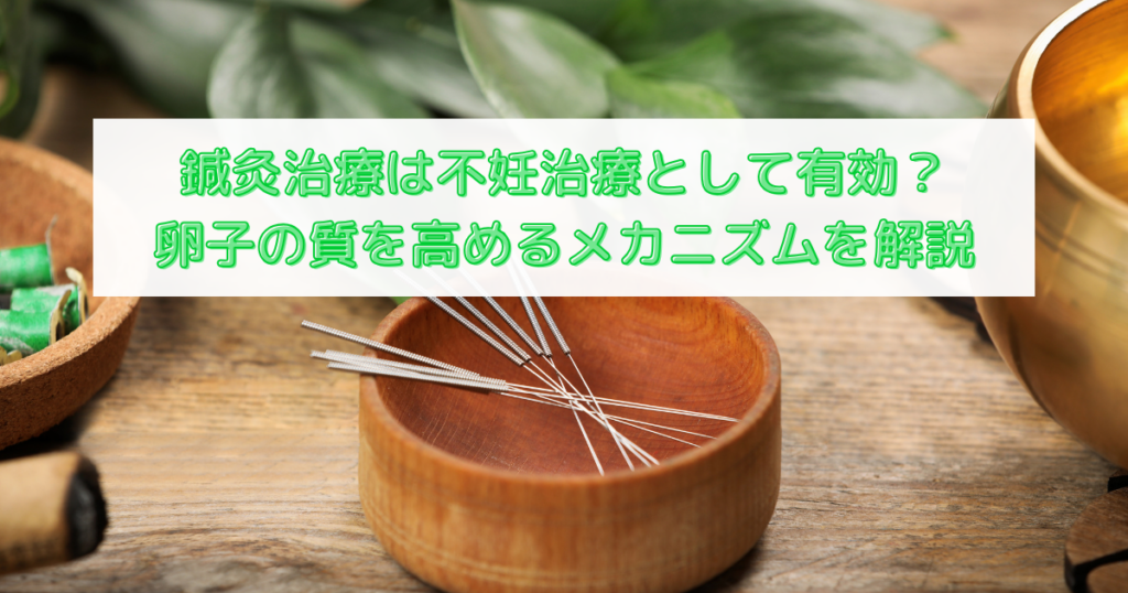 鍼灸治療は不妊治療として有効?卵子の質を高めるメカニズムを解説