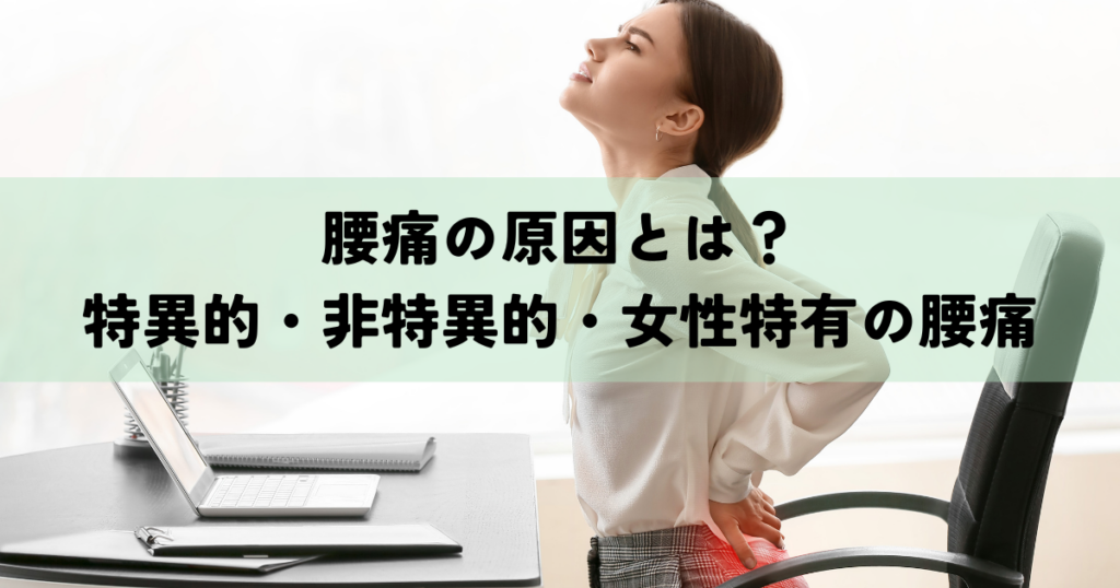 腰痛の原因とは？特異的・非特異的・女性特有の腰痛を解説
