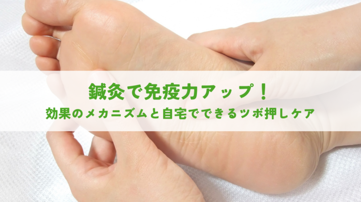 鍼灸で免疫力アップ！効果のメカニズムと自宅でできるツボ押しケア